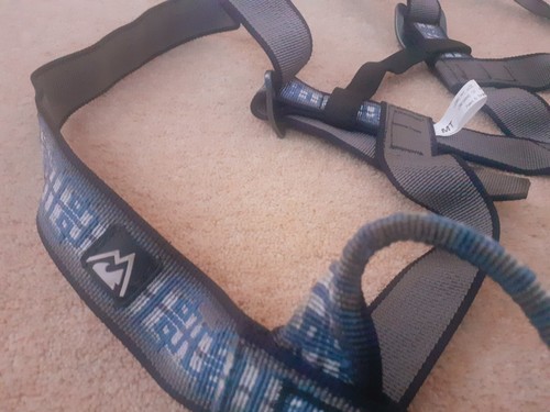 Mountain technology lizard - technology,